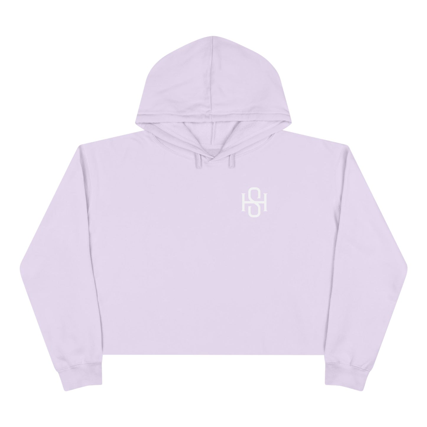 Vintage Hitterz Crop Hoodie